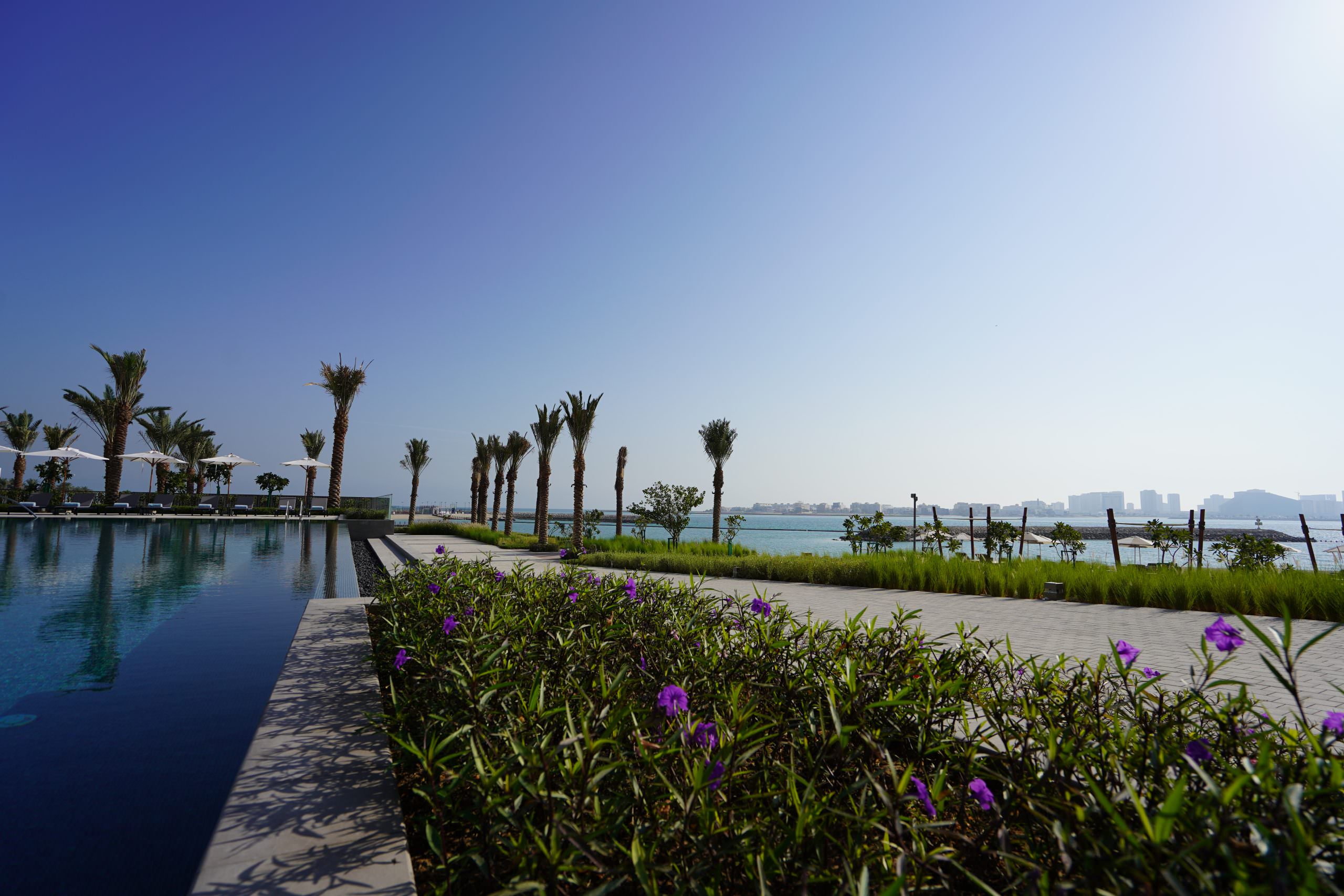 Almoayyed Landscapes and Pools