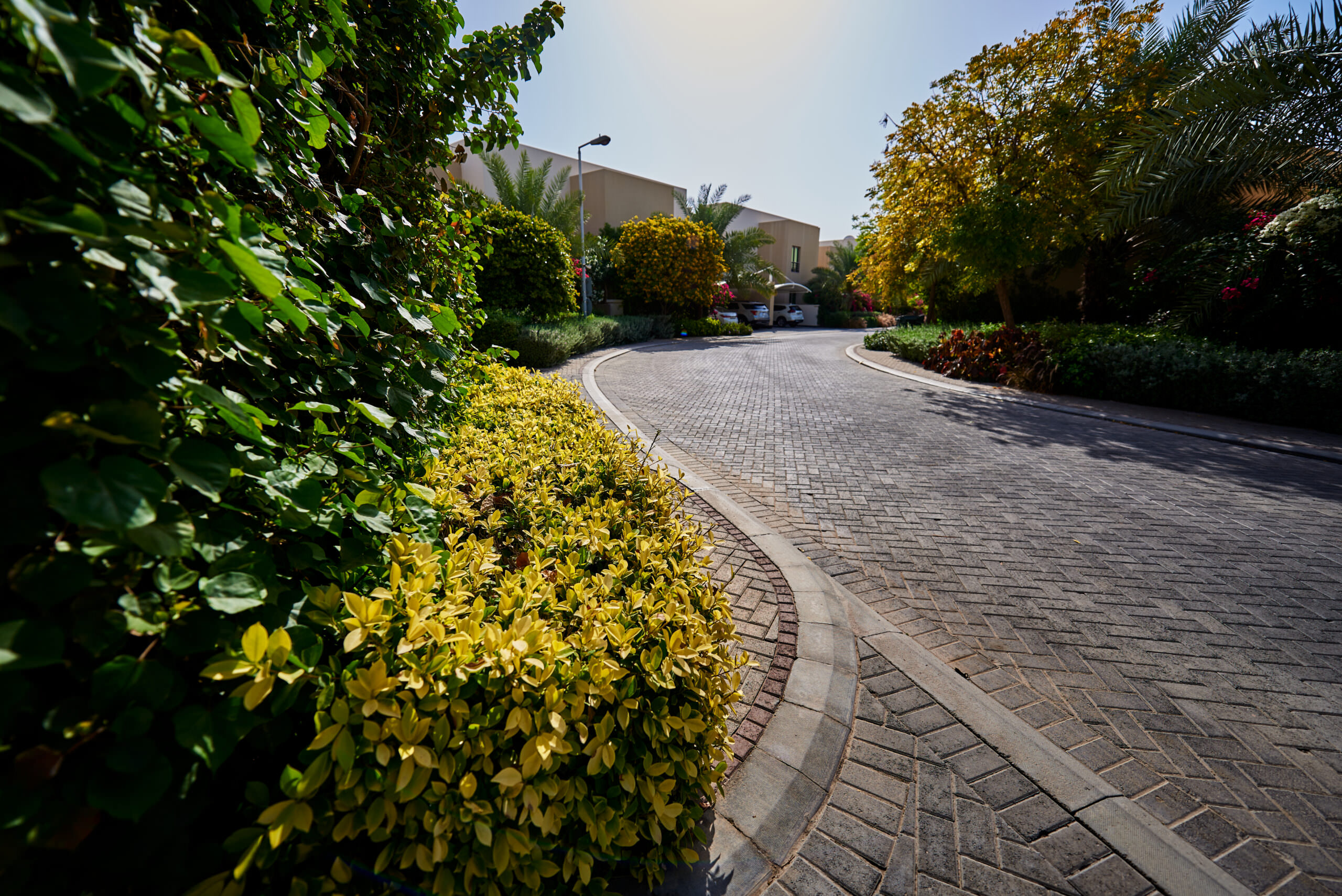 Almoayyed Landscapes and Pools